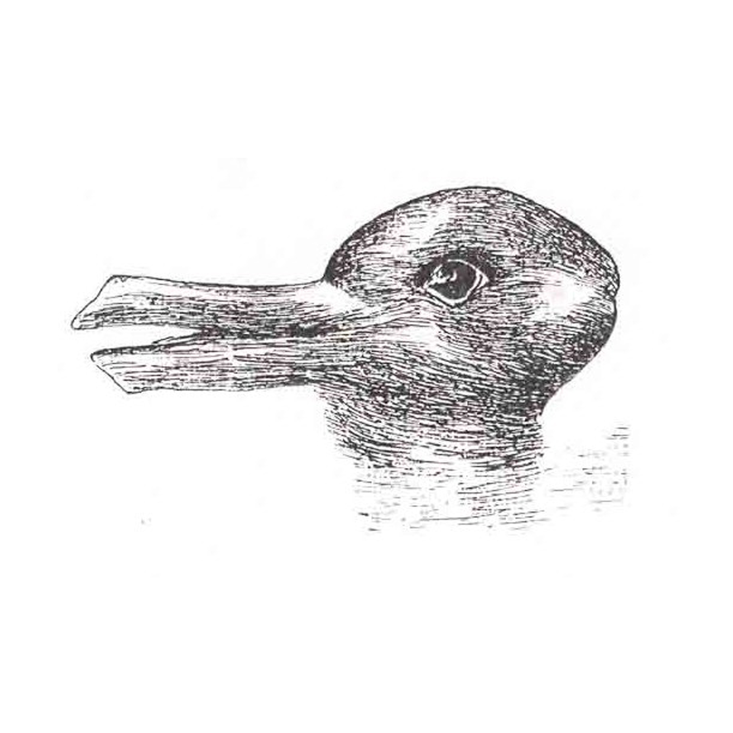 SAMTAL OM FUNKTIONSHINDER