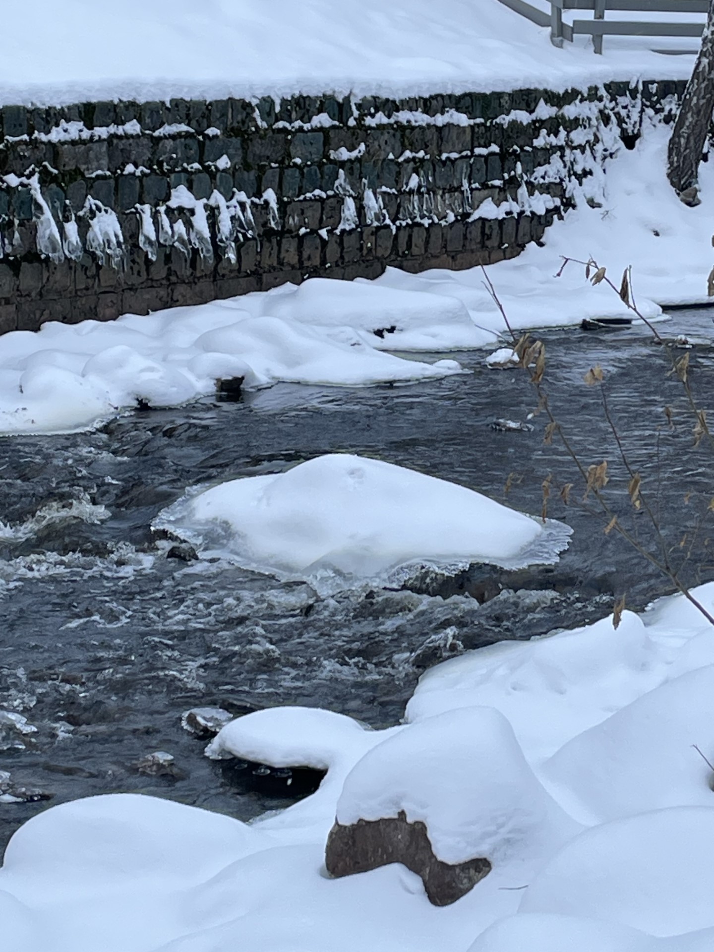 VECKANS TEMA: FALUN I DECEMBER