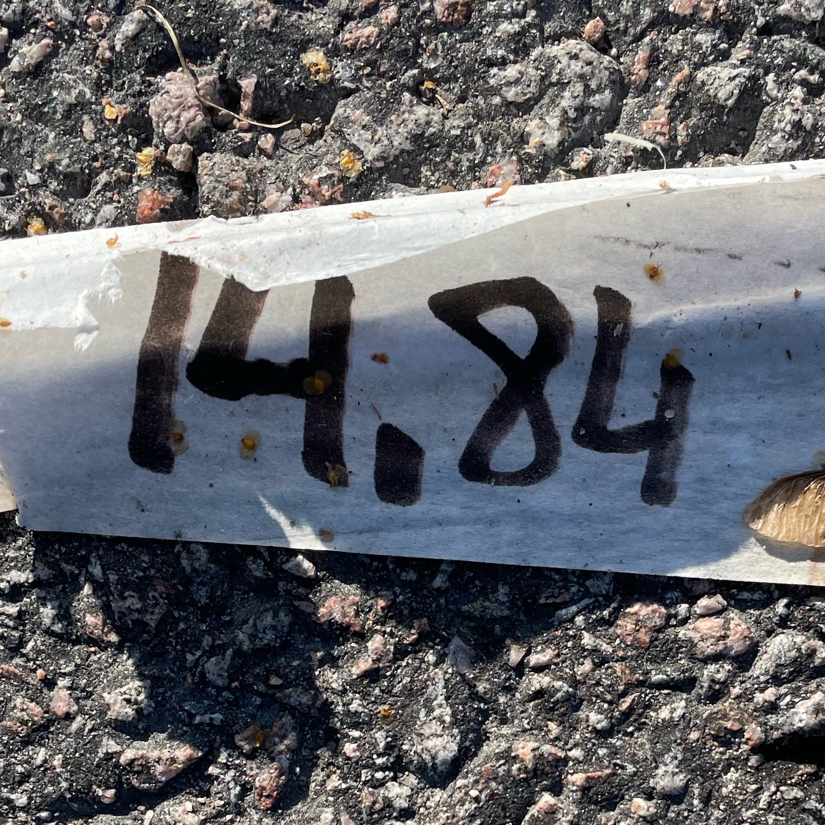 Veckans tema: Allt möjligt.