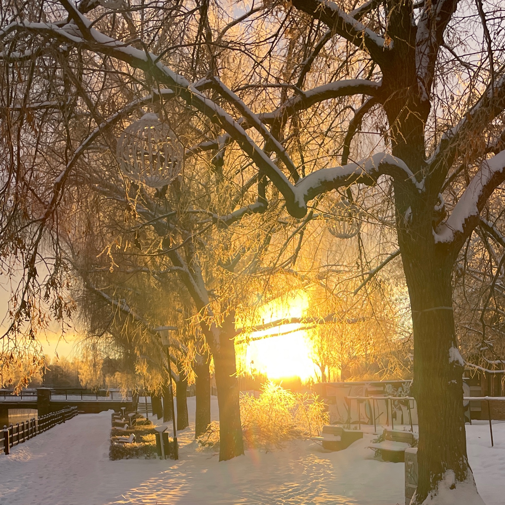 Veckans tema: Solljus i vintertid.