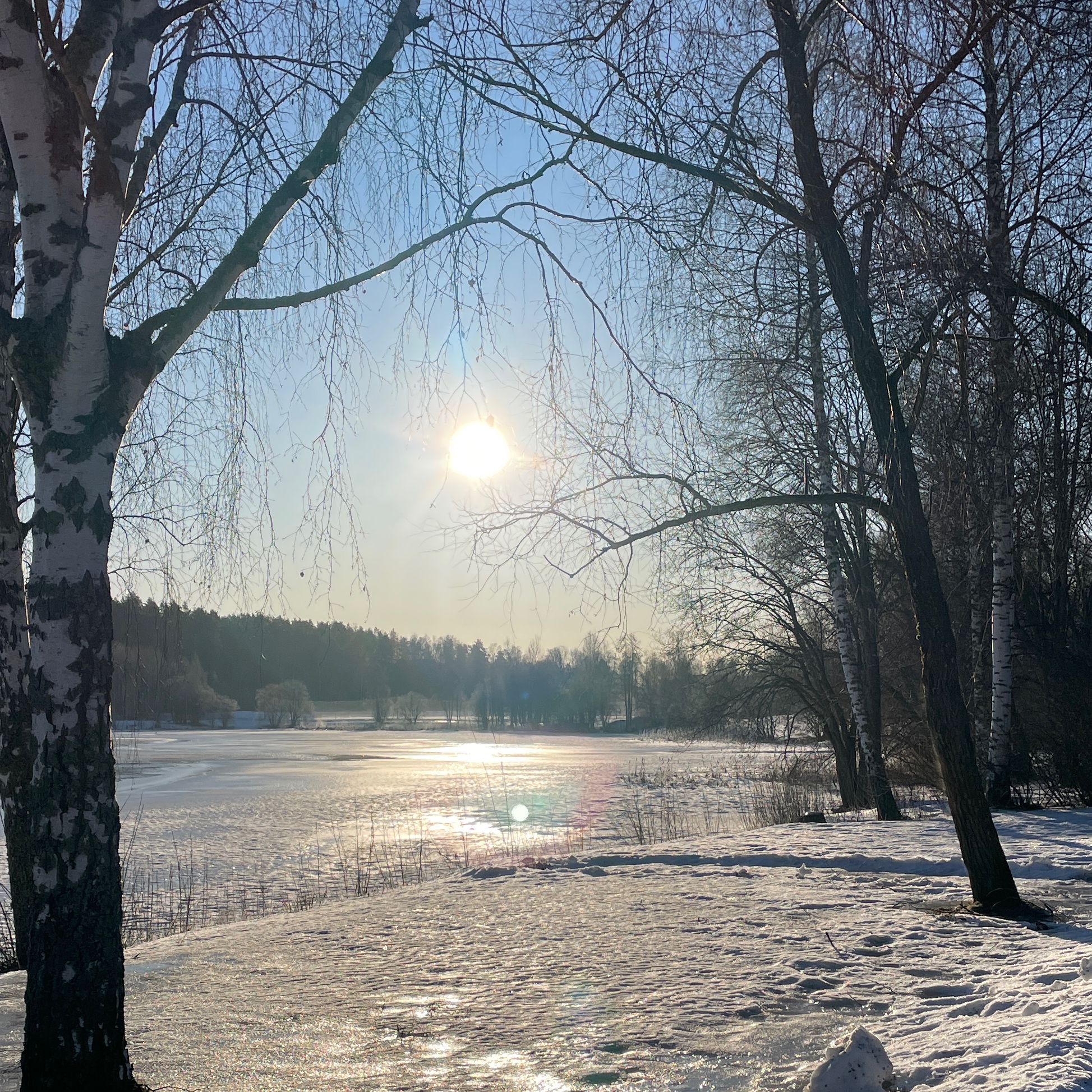 Veckans tema: Blandat.