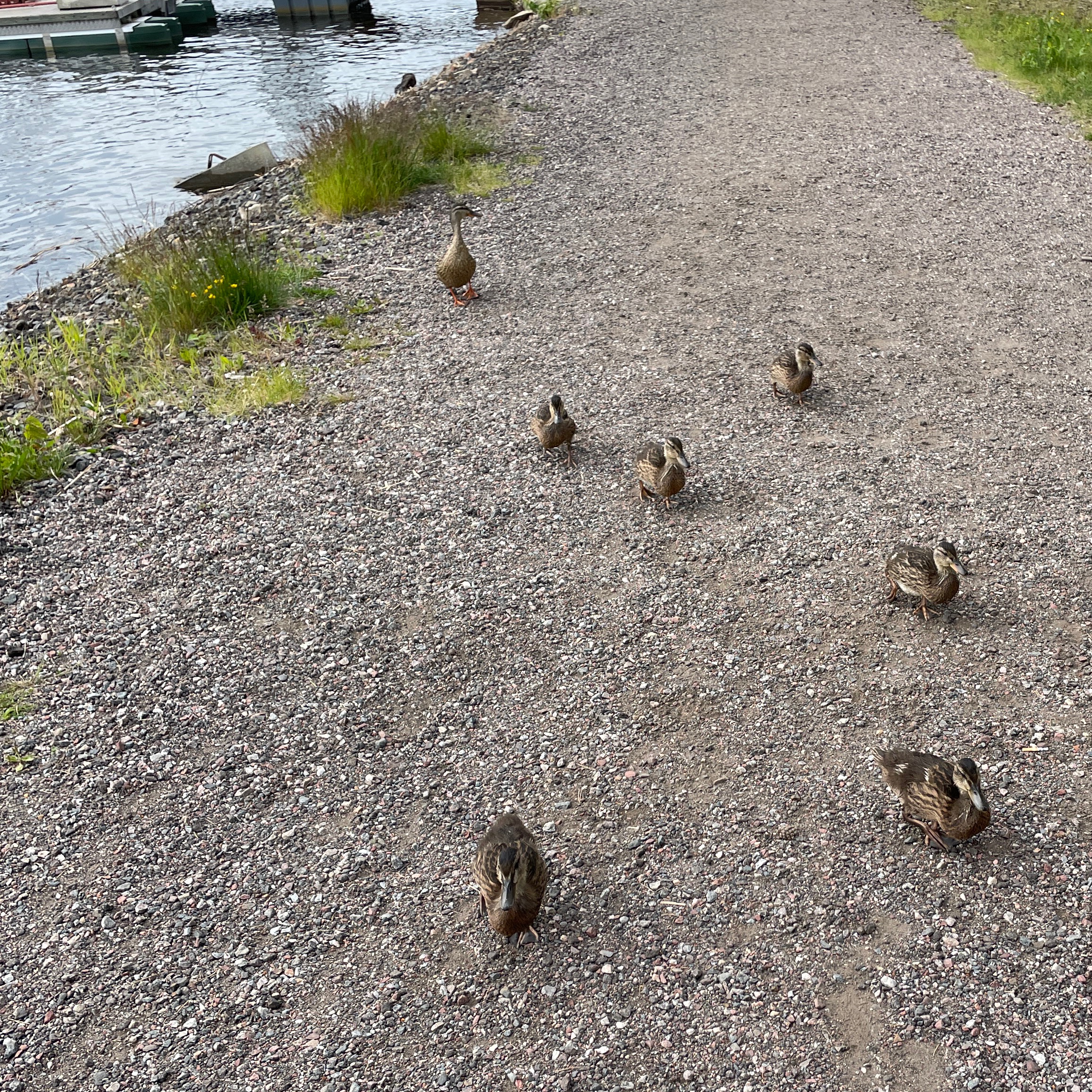 Veckans tema: Vid vatten