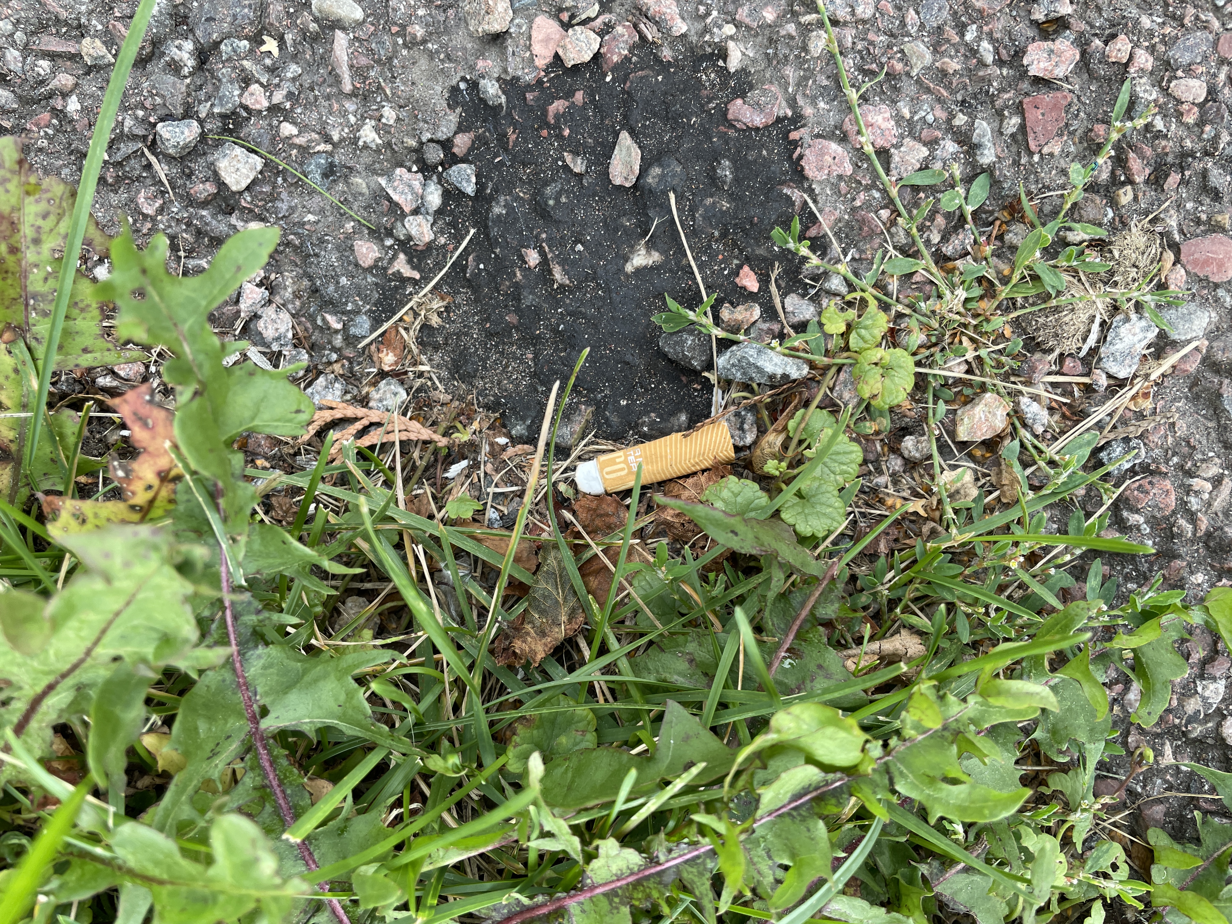 Veckans tema: Gott & Blandat