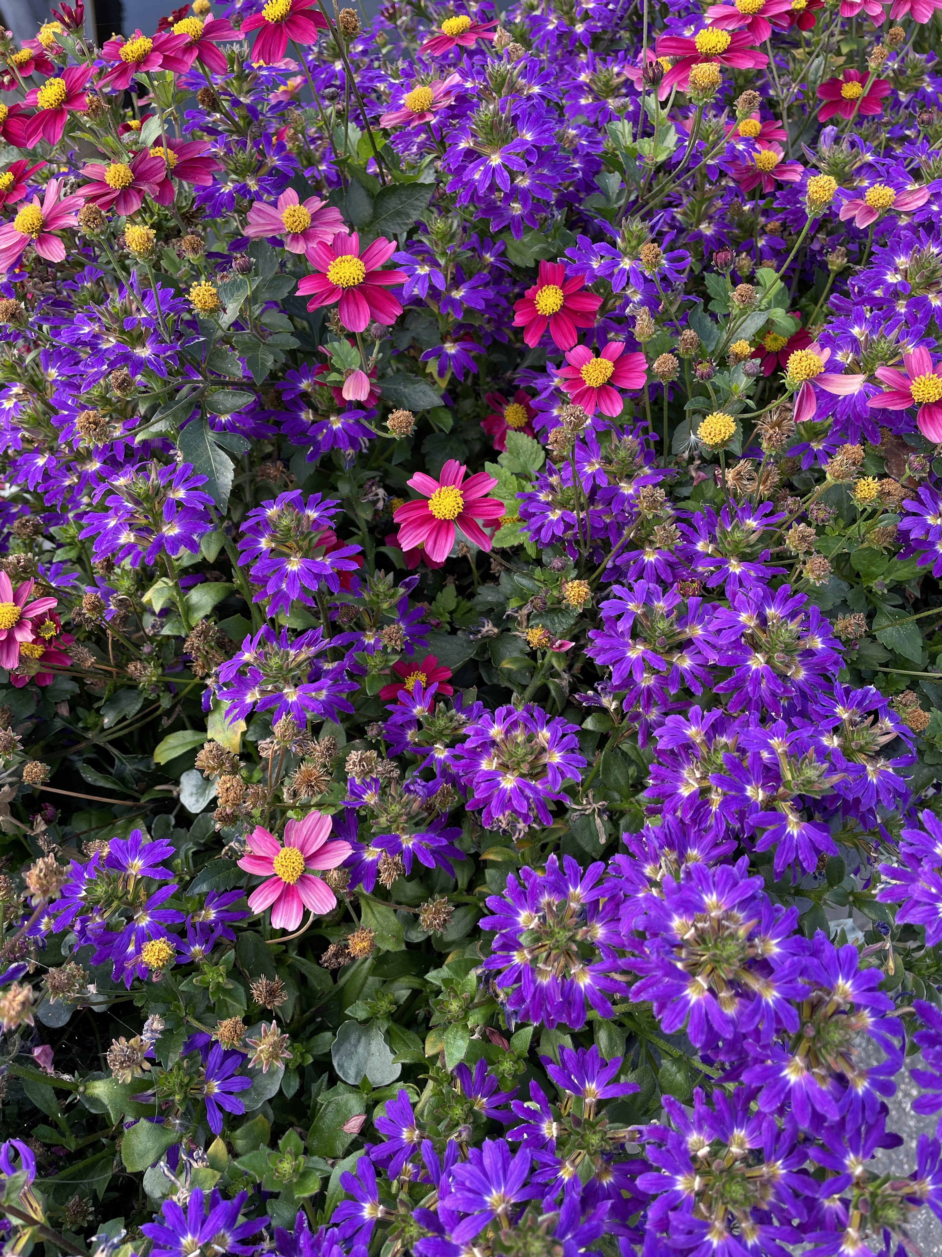 Veckans tema: Gott & blandat del 2.