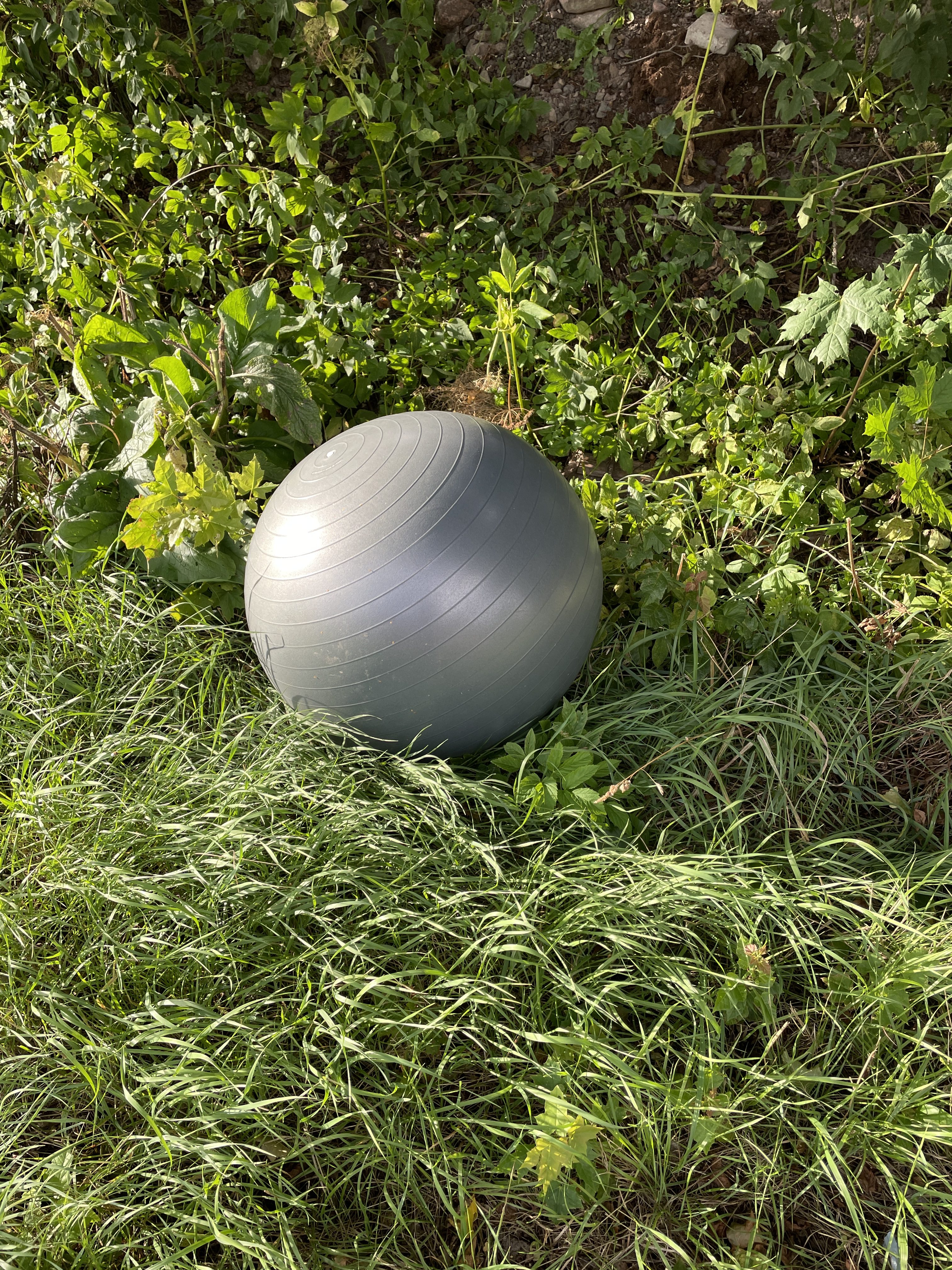 Veckans tema: Ljus och detaljer.