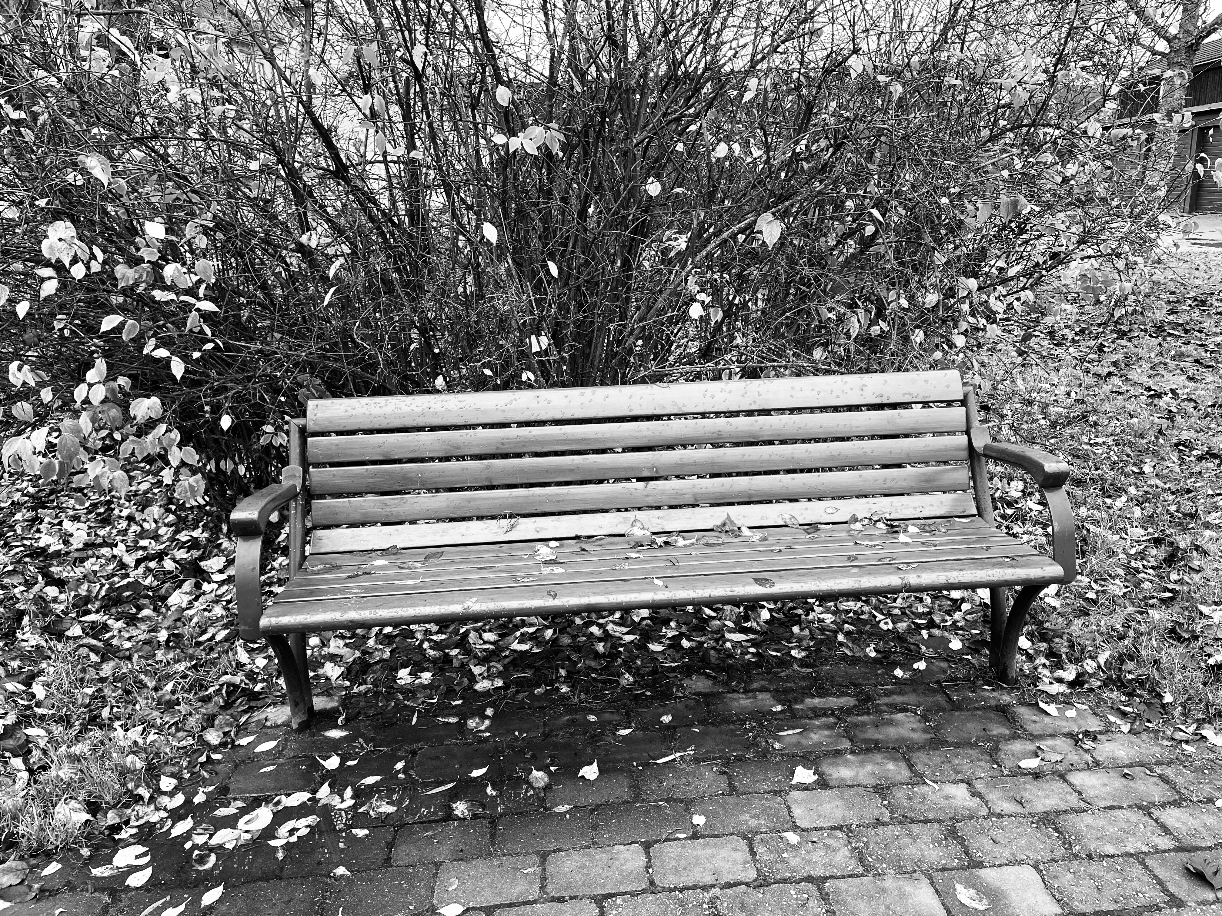 Veckans tema: Lite mer svartvitt.