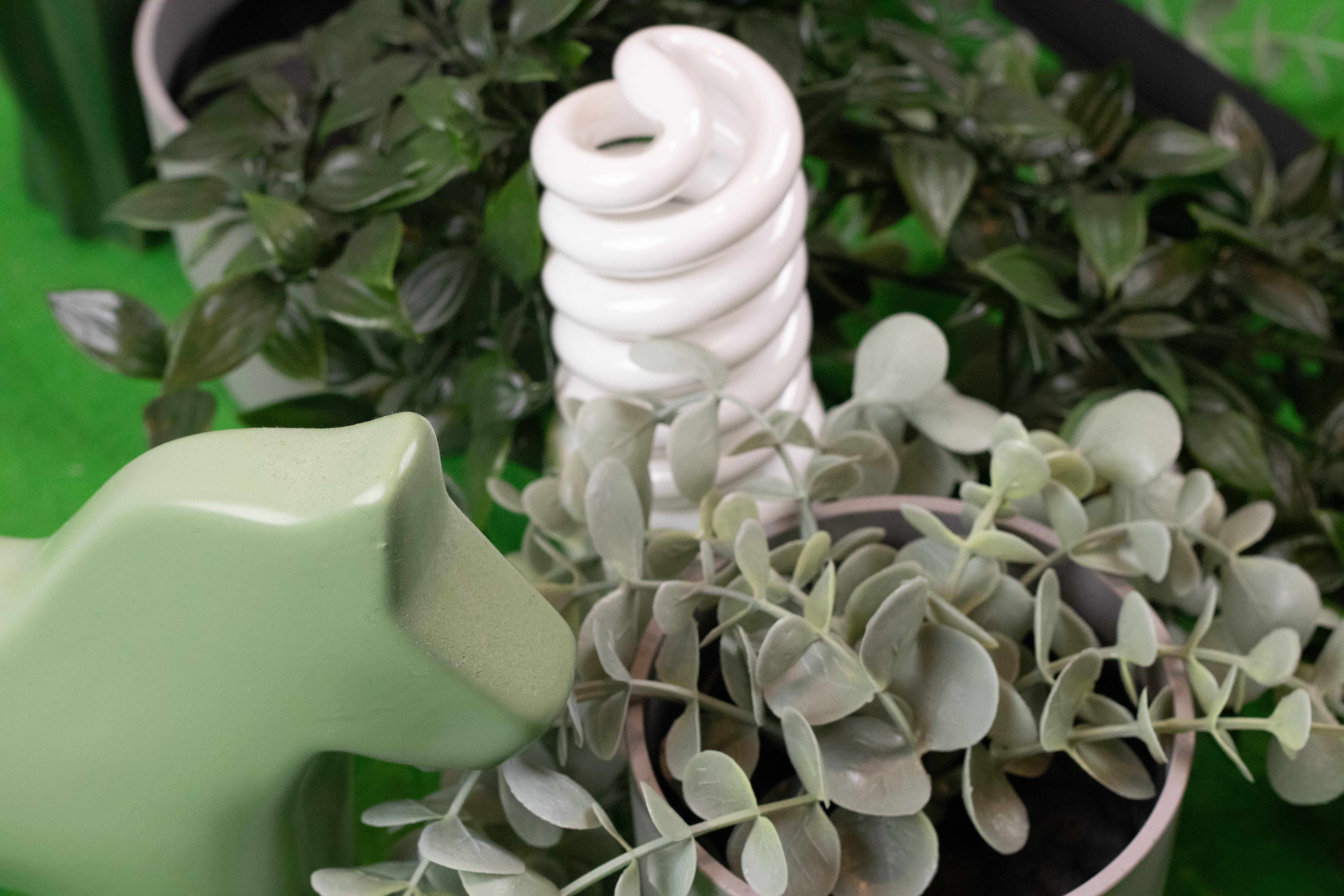 Veckans tema: I fotostudion!