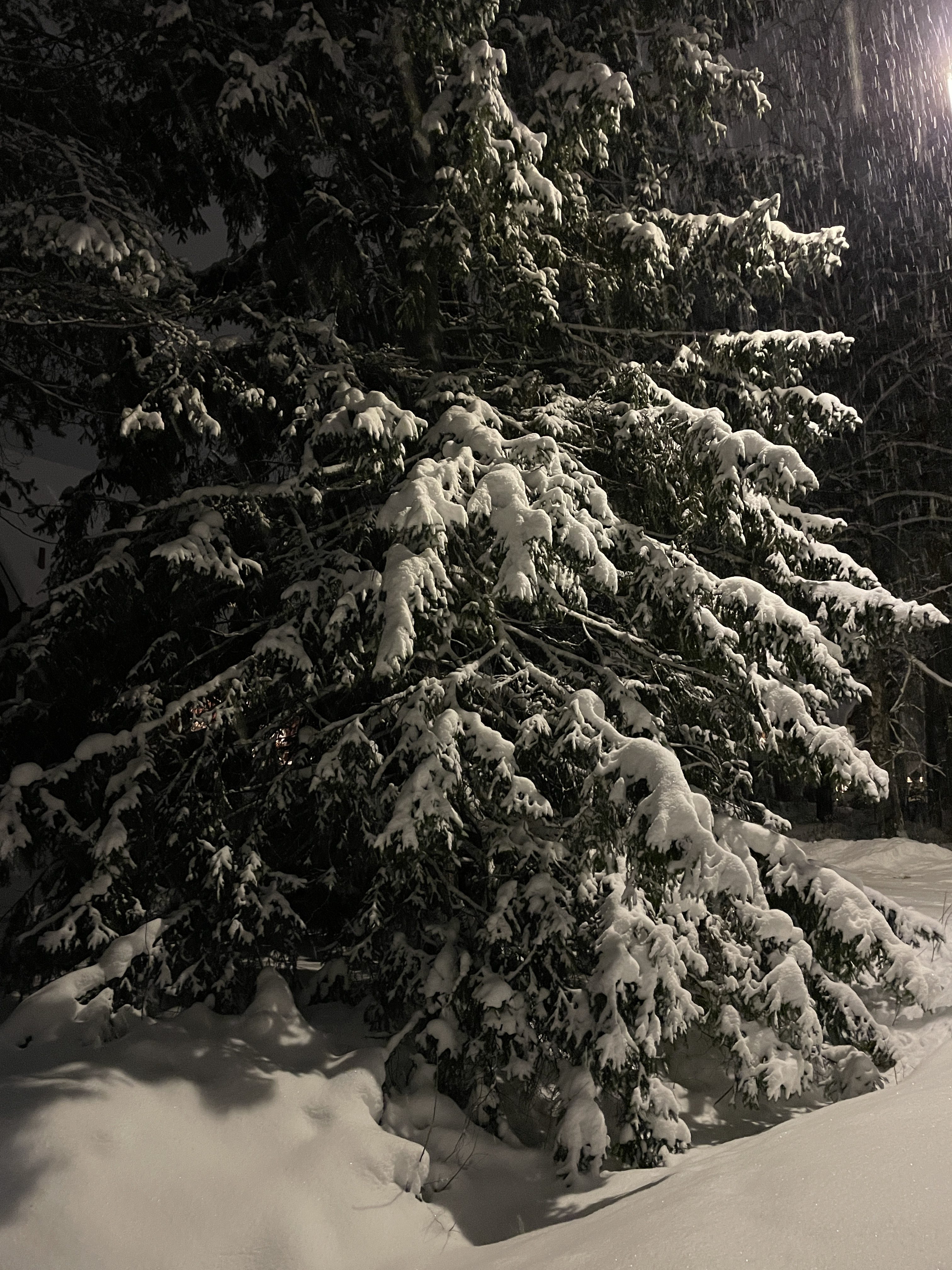 Veckans Tema: Lite mönster, lite ljus och mycket snö.