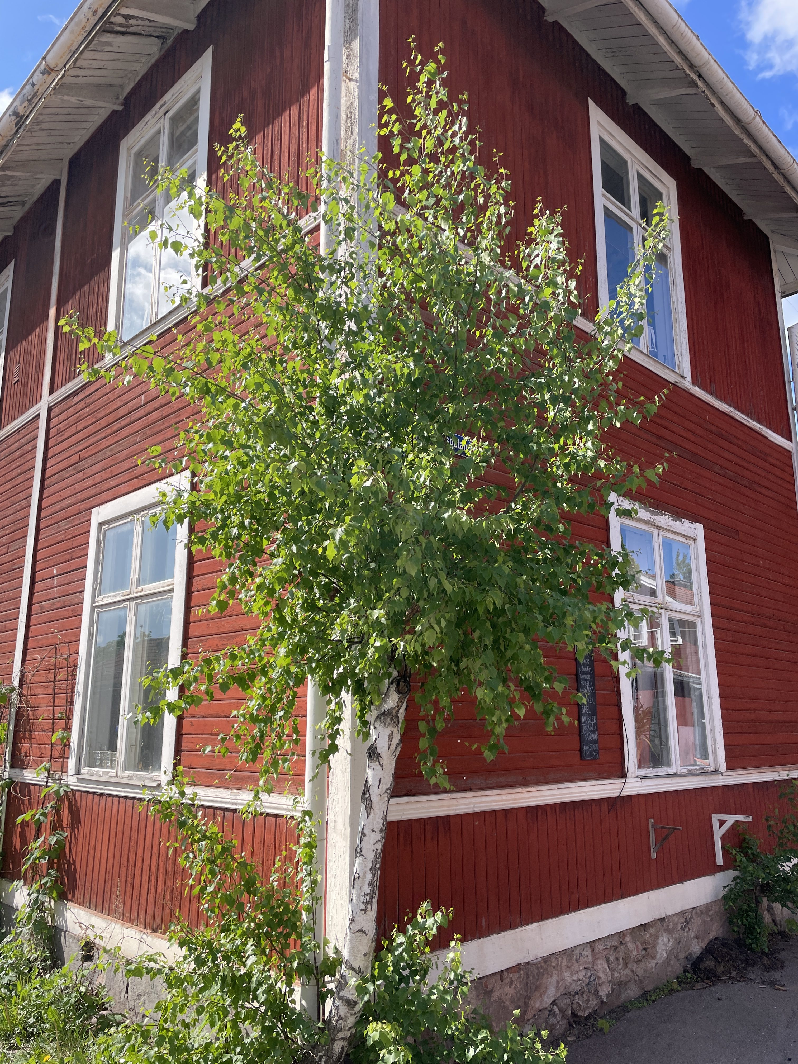 Veckans tema: Dörrhandtag och husfasader i Elsborg.