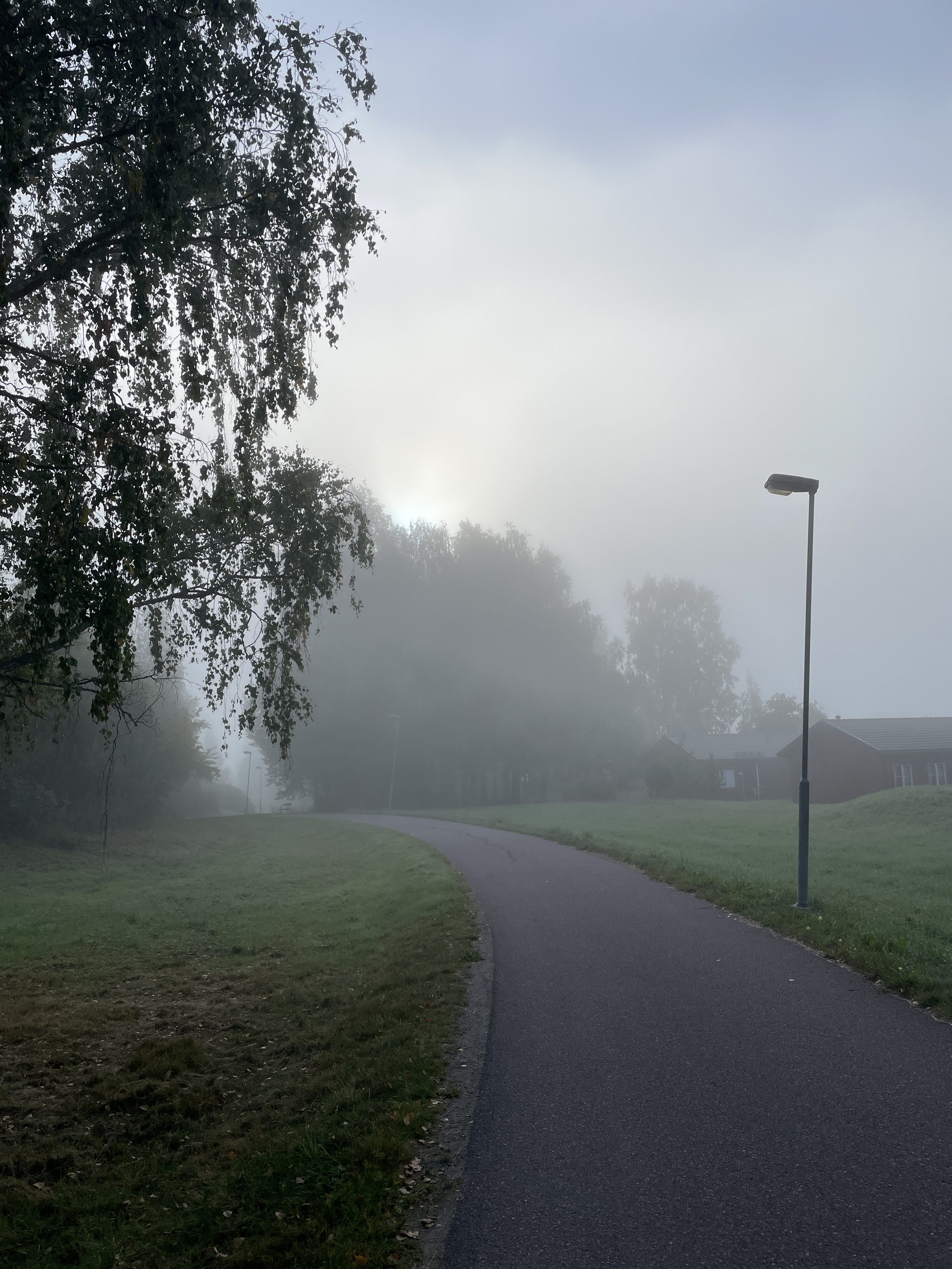 Veckans Tema: Morgondimma/Faluån